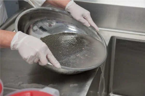 Food Safety